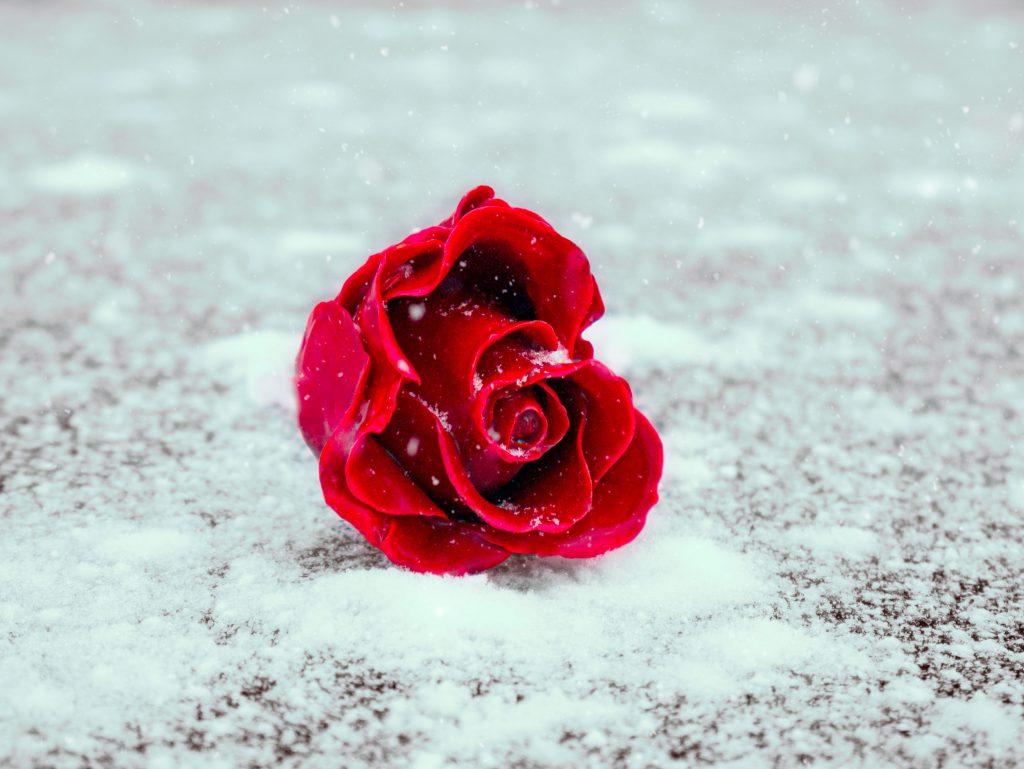 emotionale Abhängigkeit