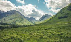 Landschaft des Lebens