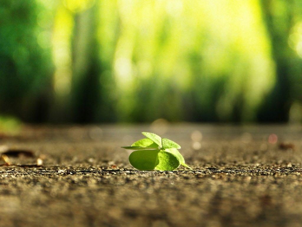 Inspiration Lebendigkeit