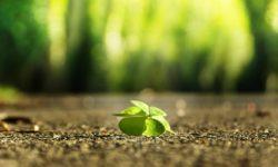 Inspiration Lebendigkeit
