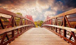 Mind behavior gap