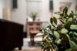 Leben Lieben Lassen Coaching