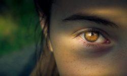 Licht und Schatten unserer Persönlichkeit